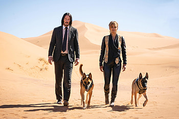 John Wick 3 Movie Halle Berry 2019, john-wick-3-parabellum, john-wick-3, john-wick-chapter-3, movies, 2019-movies, halle-berry HD wallpaper