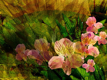 3D Flower, 3d, flower HD wallpaper