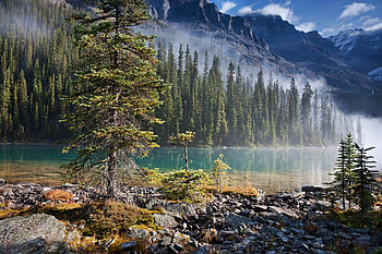 Yoho National Park, fun, cool, nature, forest, lake, mountain HD wallpaper