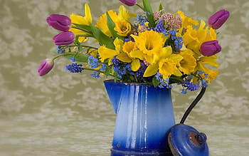 Plants, Flowers, Bouquets HD wallpaper