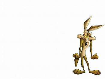 Looney Tunes, cayote HD wallpaper