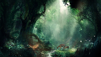 Bambi Jungle, creative, jungle, graphics HD wallpaper