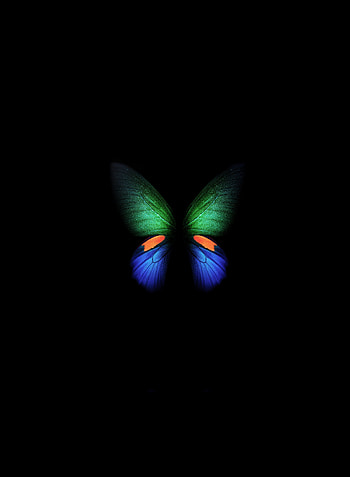 Samsung Galaxy Fold, green-blue butterfly, minimal, art HD phone wallpaper