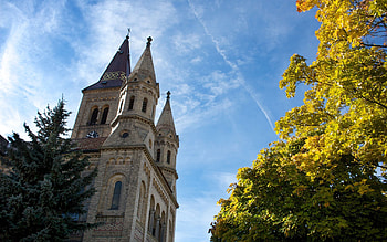 Nature, Trees, Sky, Clock, Tower HD wallpaper