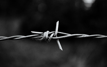 Bw, Chb, Metal, Wire, Twisted HD wallpaper