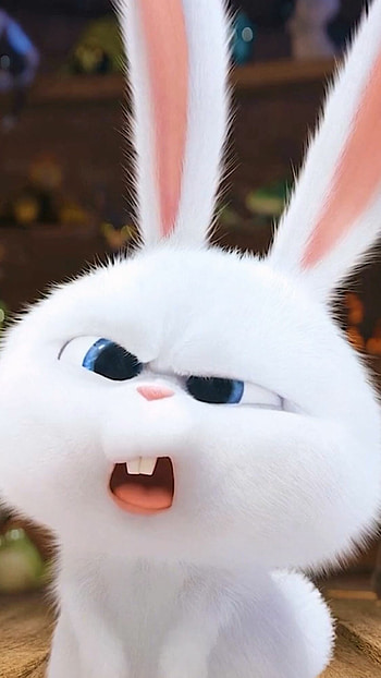 Snowball, Rabbits HD phone wallpaper