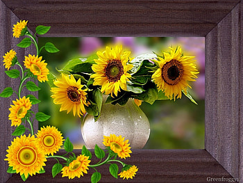 SUNFLOWERS, PRETTY, FRAMED HD wallpaper
