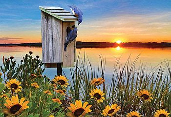 Bluebird Sunrise, sun, birds, painting, flowers, sky, lake HD wallpaper