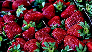 Food, Strawberry, Berries, Ripe HD wallpaper
