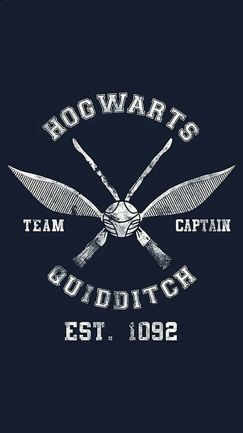 Quidditch, Magical sport, Harry Potter, Fan ideas HD phone wallpaper