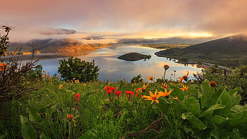 River in Spring, Utah, blossoms, clouds, landscape, sky, flowers, usa HD wallpaper