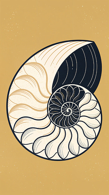 Shell Serenity: A Beautiful , graphic design, illustration, pattern HD phone wallpaper