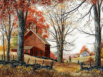 autumn walk, dog, trees, barn, grass HD wallpaper