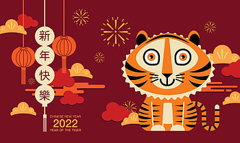 Year of the Tiger, Majestic beauty, , Powerful presence HD wallpaper