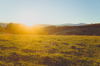 Landscape, Nature, Bright, Hills, Lawn, Sunlight HD wallpaper