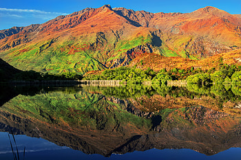South Island, New Zealand, Tree, Lake, Mountain HD wallpaper