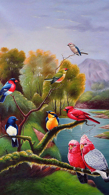Birds 02, cloud, sky, forest, nature, animal, river, colors HD phone wallpaper