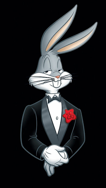Bugs Bunny, Rabbits HD phone wallpaper