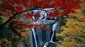 Stunning Waterfalls, white, monutain, plants, waterfalls, forces of nature, rocks, streams, green, yellow, red, nature HD wallpaper