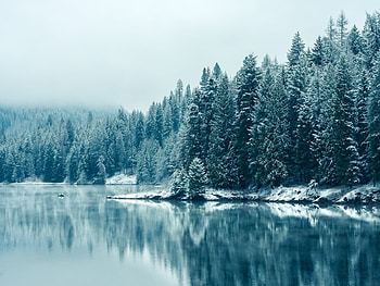 Landscape, Winter, Rivers, Trees, Snow, Fir-Trees HD wallpaper