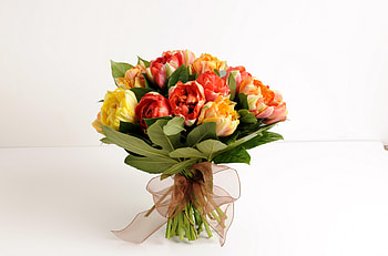 Flowers, Leaves, Tulips, Registration, Typography, Bouquet, Bow HD wallpaper