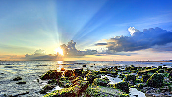 glorious sunrise, sea, rays, shore, moss, clouds, rocks, sunrise HD wallpaper