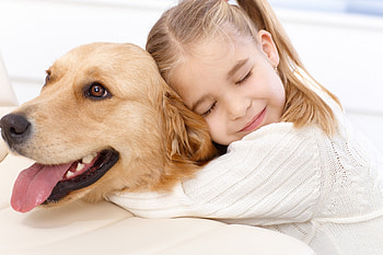 * Best friends *, animal, dog, animals, dogs, girl HD wallpaper
