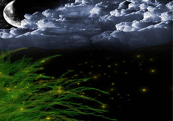 Glowing Orbs, moon, night sky, clouds, green plant HD wallpaper