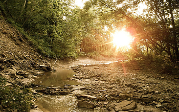 Calm After The Storm, river, sunlight, beautiful, rocks, trees, water, calm, sun, forest, stream HD wallpaper