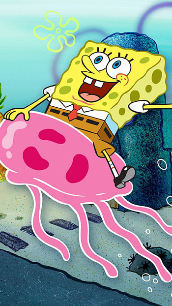Spongebob, Funny Spongebob, Cartoon HD phone wallpaper
