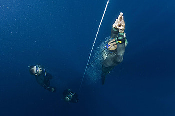 Ascending, diving HD wallpaper