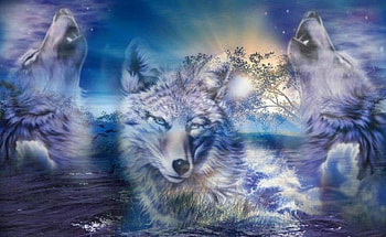 For my friend Judy ( misty7j3 ), wolves, fantasy, animals, nature, wolf, friends HD wallpaper