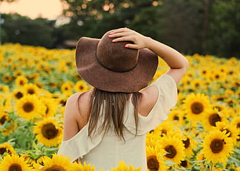 A woman enjoying the beauty of a sunflower field in summer's golden glow. HD wallpaper