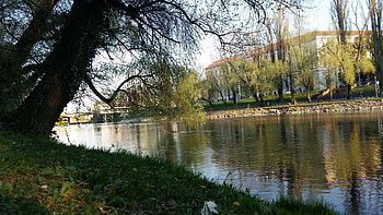 Crisul River, river, oradea, crisulrepede, nature, transylvania HD wallpaper