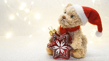 Cute teddy bear in a Santa hat holding a star-shaped Christmas ornament with twinkling lights in the background. HD wallpaper