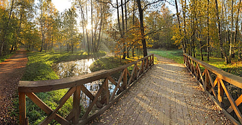 autumn, rays, river, graphy, relax, walk, nice, season, trees, , sun, sunset, path, beautiful, grass, park, leaves, cool, bridge, nature, forest, harmony HD wallpaper