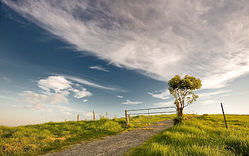 Landscape, Trees, Roads HD wallpaper