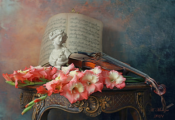 Still Life, guitar, Still, life, flower HD wallpaper