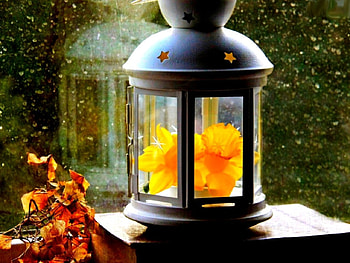 SPRING LANTERN, Leaves, Lanterns, Fall, Spring, Daffodils HD wallpaper
