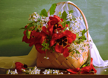Tulips basket, Shelf, Board, Fabric, Basket HD wallpaper