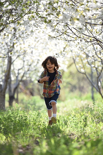 Happy child running in a sunlit orchard during springtime, surrounded by blooming trees. HD phone wallpaper