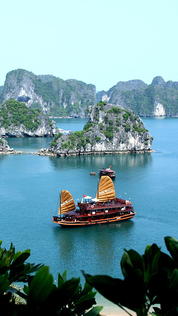 Halong Bay, Tropical paradise, Lush palm trees, Exotic travel HD phone wallpaper