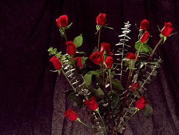 Flowers, Roses, Beauty, Bouquet, Gorgeous, Chic HD wallpaper