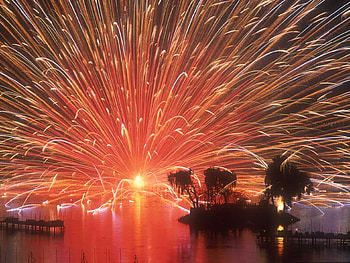 Happy New Year to all Dn Friends, palms, night, sea, small island, red, beautiful, firework HD wallpaper