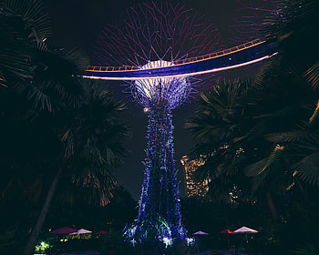 Cities, Palms, Park, Decoration, Singapore, Landscaping, Landscape Design HD wallpaper