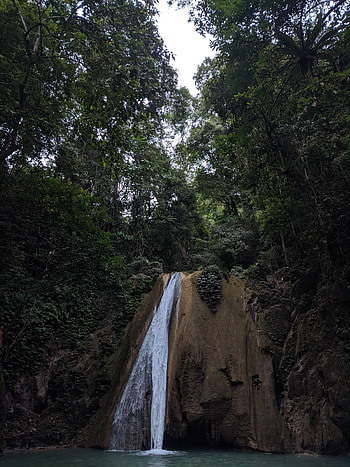 Alam, dan hutan, ketenangan dan kedamaian, air HD phone wallpaper