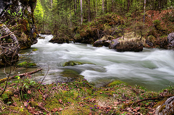Nature, Rivers, Forest, Flow HD wallpaper