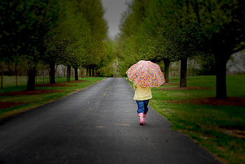 Miscellanea, Miscellaneous, Wood, Road, Park, Tree, Stroll, Overcast, Mainly Cloudy, Umbrella HD wallpaper