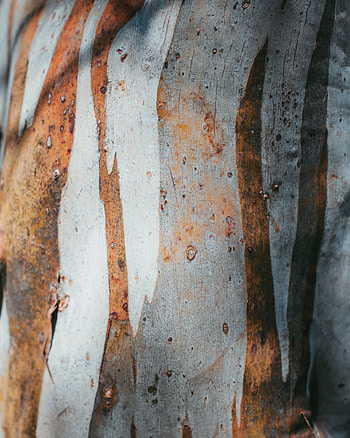 Texture, Textures, Stains, Spots, Metal, Cracks, Crack, Rust HD phone wallpaper