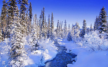 Nature, Rivers, Trees, Snow, Bush, Frost, Hoarfrost, Drifts, Ate HD wallpaper